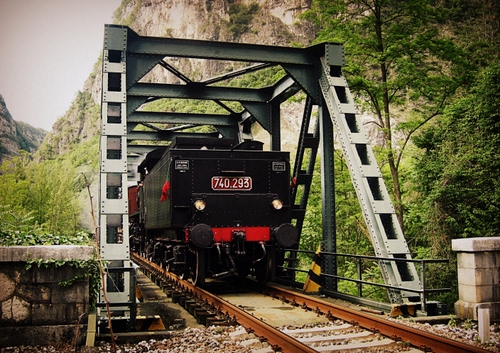 Immagine con ponte, treno, binari, locomotiva, binario, locomotore, rotaie, alberi, ferrovia