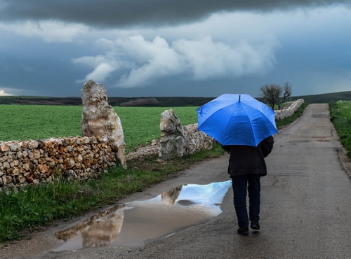 Immagine con ombrello, pozzanghera, azzurro, nuvole, pioggia, strada, verde, muro