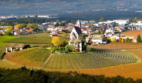 Immagine con chiesa, panorama, campagna, vigneto, paese, campanile, paesaggio, case, alberi, autunno, cerchi