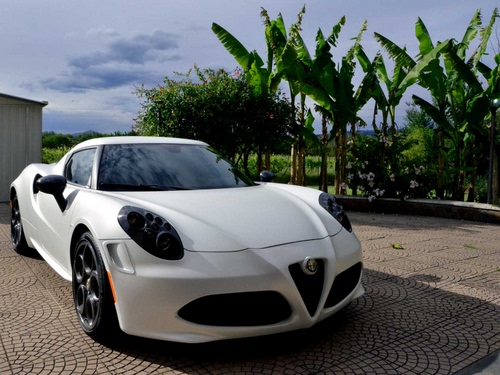 Immagine con automobile, alberi, bianco, bianca, auto, piante, verde, ruote, sportiva, alfa, palme