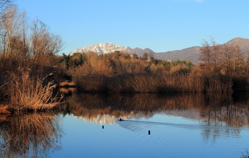 Immagine con montagne, lago, acqua, piante, montagna, riflessi, alberi, riflesso, cielo