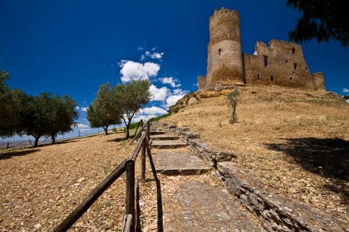 Immagine con alberi, nuvole, castello, cielo, torre, sentiero, staccionata, rudere, gradini