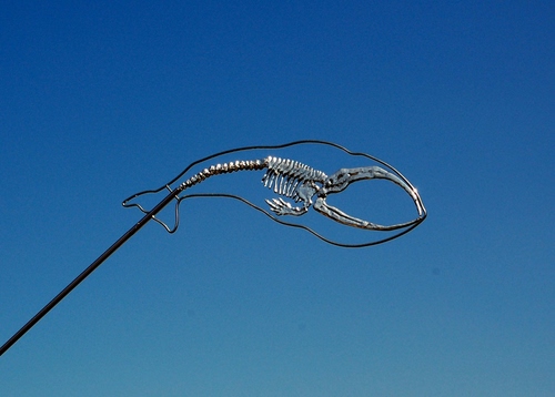 Immagine con pesce, cielo, azzurro, scheletro, scultura, ferro, metallo, insegna, blu, balena