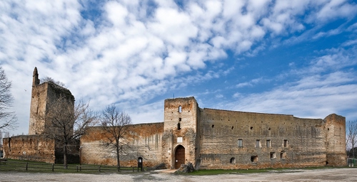 Immagine con castello, nuvole, torre, cielo, mura, alberi, porta, azzurro, portone