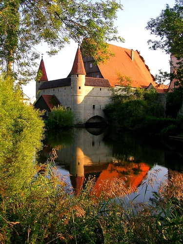 Immagine con castello, alberi, acqua, riflesso, torri, riflessi, rami