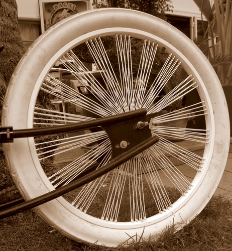 Immagine con ruota, raggi, cerchio, gomma, seppia, bianco, bianconero, copertone