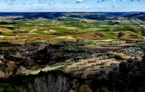 Immagine con panorama, colline, alberi, nuvole, paesaggio, campi, verde, prati, azzurro, orizzonte, piante
