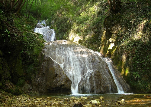 Immagine con acqua, cascata, sassi, rocce, alberi, fiume, piante, torrente, verde, bosco