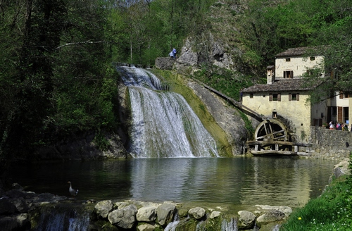 Immagine con mulino, cascata, acqua, ruota, alberi, fiume