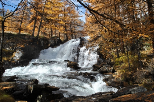 Immagine con alberi, cascata, acqua, bosco, autunno, torrente, rocce, bianco, giallo, sassi, spruzzi, verde, schiuma, fiume, cielo, roccia, rami