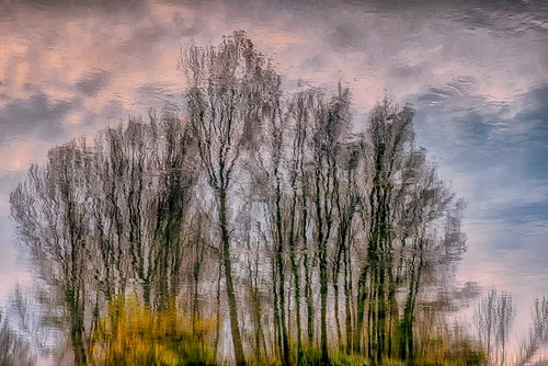 Immagine con nuvole, alberi, acqua, riflesso, cielo, rami, riflessi, giallo, verde, lago, azzurro, rosa