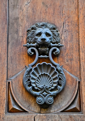 Immagine con batacchio, leone, porta, legno, ferro, battente, conchiglia, portone, metallo