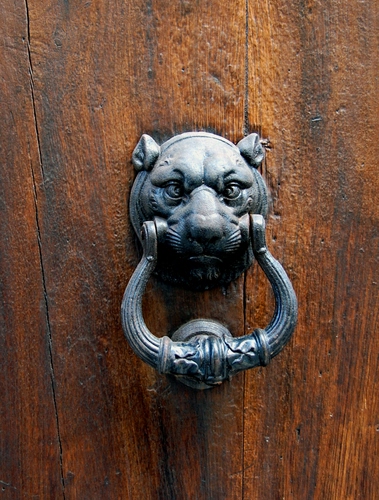 Immagine con batacchio, porta, legno, leone, metallo, ferro, muso, portone, animale