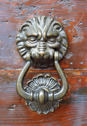 Immagine con batacchio, leone, porta, legno, bronzo, ottone, metallo, ferro