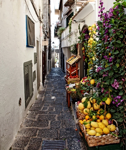 Immagine con limoni, vicolo, frutta, fiori, cassette, finestre, giallo, negozio, ceste, persiane, cesti, verde, bancarella, foglie, strada, porte, frutti, tombino, fruttivendolo