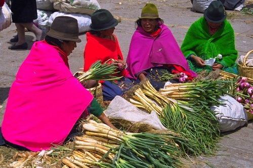 Immagine con mercato, cappelli, colori, verde, donne, viola, verdura, cipolle, rosso, rosa, sacchi, mantelli, cipollotti, quattro, cibo