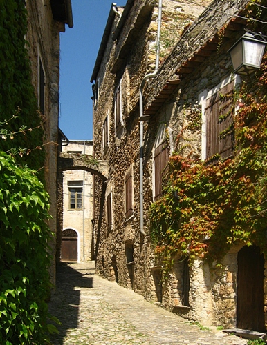 Immagine con vicolo, arco, finestre, edera, verde, foglie, lampione, rampicanti, case