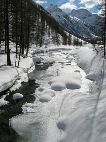 Immagine con neve, alberi, montagne, nuvole, acqua, cielo, torrente, ghiaccio, bianco, inverno, fiume, montagna, bosco