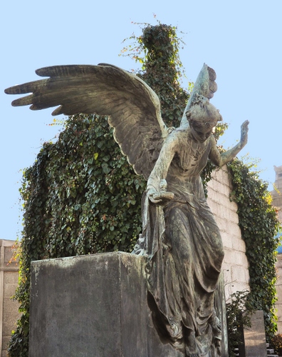 Immagine con angelo, ali, statua, edera, marmo, monumento, cimitero, tomba, verde