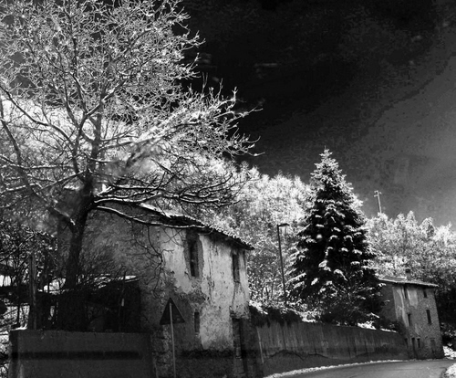 Immagine con neve, alberi, case, bianconero, inverno, bianco, strada
