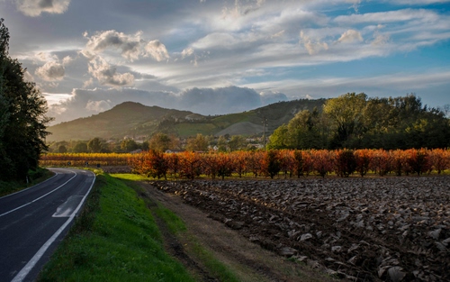 Immagine con strada, nuvole, alberi, paesaggio, campo, curva, montagne, panorama, terra