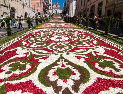 Immagine con strada, infiorata, rosso, fiori, petali, verde, colori, disegni, chiesa, persone, tappeto, bianco