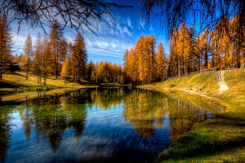 Immagine con alberi, lago, autunno, acqua, riflesso, cielo, riflessi