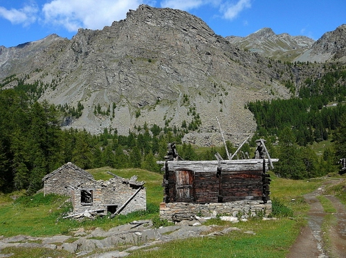Immagine con montagna, alberi, ruderi, verde, rudere, sentiero, pietre, roccia, legno, tronchi