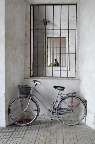 Immagine con bicicletta, finestra, cestino, finestre, grata, ruote, inferriata, sbarre, muro