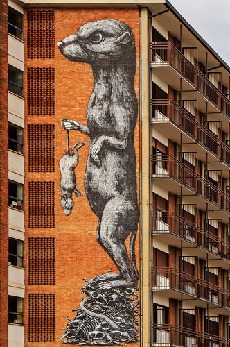 Immagine con palazzo, murales, balconi, topo, topi, finestre, ringhiere, facciata
