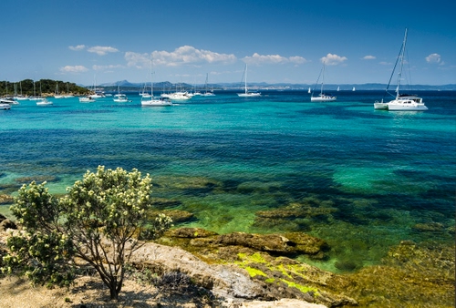 Immagine con mare, barche, azzurro, albero, acqua, nuvole, cielo, trasparente