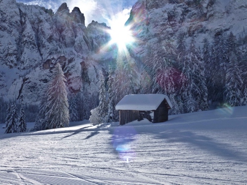 Immagine con neve, baita, alberi, sole, montagna, montagne, raggi, controluce, abeti