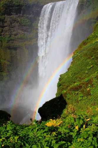 Immagine con acqua, cascata, arcobaleno, verde, arcobaleni, foglie, fiume, due, piante, fiori