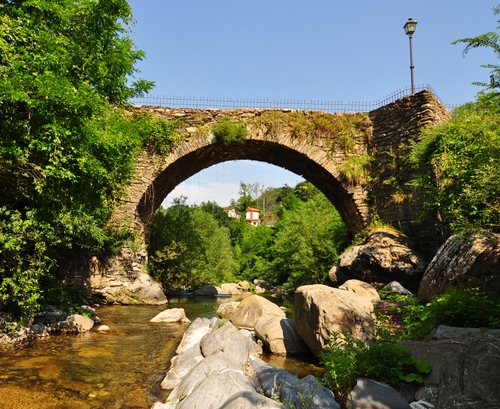Immagine con ponte, fiume, lampione, arco, rocce, verde, alberi, sassi, acqua, massi