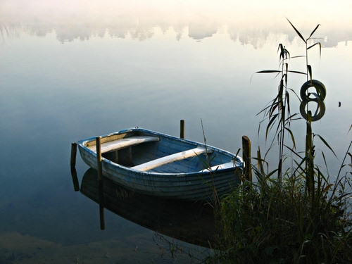 Immagine con barca, acqua, lago, riflesso, fiume, canne, pali, piante, ormeggio, erba, azzurro, riflessi