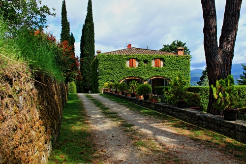 Immagine con casa, strada, verde, alberi, edera, finestre, cipressi, erba, viale, piante