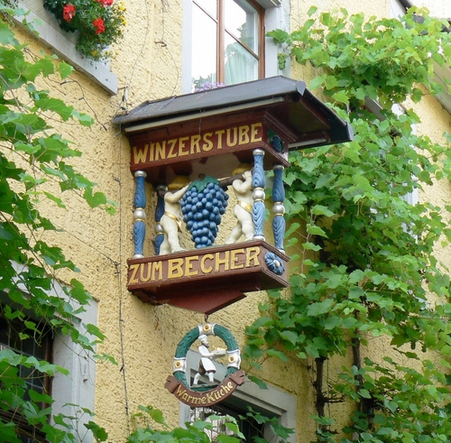 Immagine con uva, insegna, grappolo, foglie, verde, azzurro