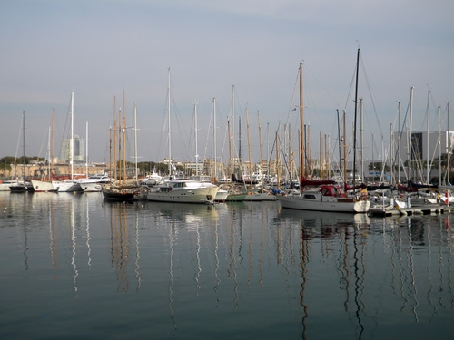 Immagine con barche, porto, alberi, mare, riflesso, acqua, riflessi
