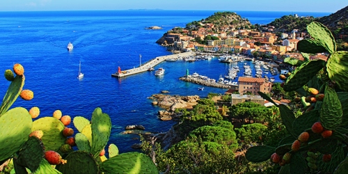 Immagine con porto, mare, panorama, barche, fichi, collina, piante, molo