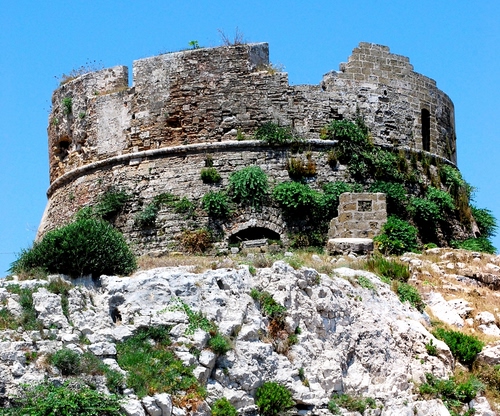 Immagine con torre, pietre, rudere, ruderi, roccia, cespugli, rocce, cielo, piante, rovine
