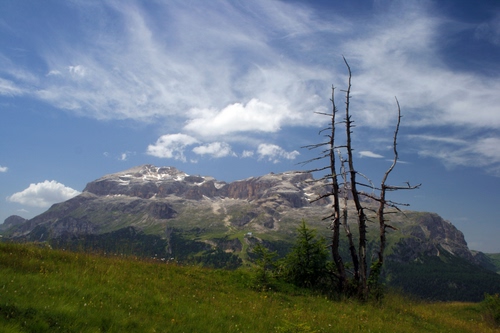 Immagine con montagna, nuvole, alberi, prato, cielo, verde, albero, montagne, secco