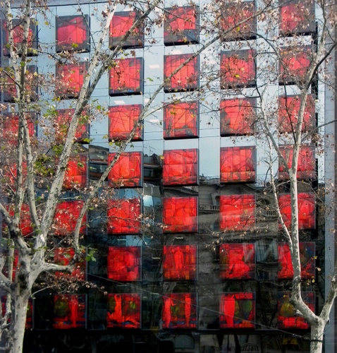 Immagine con rosso, finestre, palazzo, rami, alberi, foglie, vetro, quadrati, riflesso, vetri, geometrie, albero, riflessi