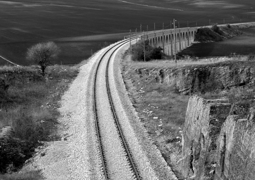 Immagine con curva, ferrovia, ponte, bianconero, binari, rotaie, albero, binario, paesaggio