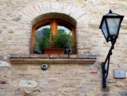 Immagine con vaso, finestra, lampione, mattoni, pianta, vetro, muro, arco, riflesso, piante, ferro, verde, palazzo, legno