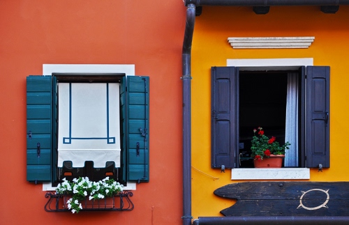 Immagine con finestre, fiori, giallo, vasi, persiane, due, palazzo, grondaia, piante, ante, bicolore