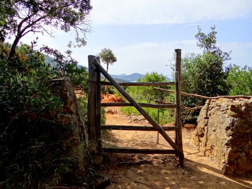 Immagine con cancello, legno, alberi, strada, verde, muro, sentiero, erba, staccionata, terra, cielo