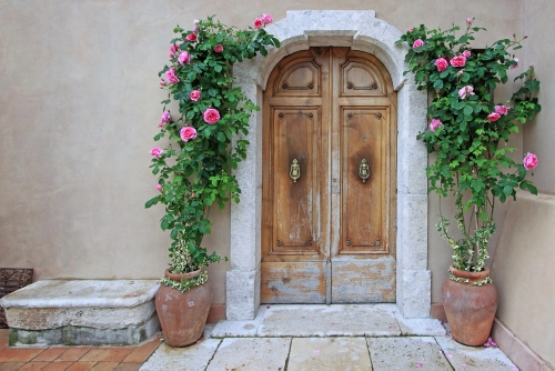 Immagine con vasi, porta, rose, fiori, piante, legno, due, foglie, arco, portone, batacchi, pavimento