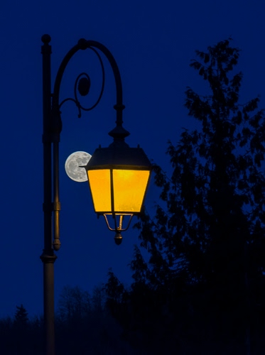 Immagine con lampione, luna, giallo, notte, albero, luce