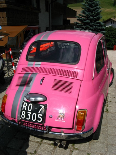 Immagine con rosa, targa, cinquecento, numeri, auto, automobile, lettere, epoca, fiat, ruote, fanalini, strada, lunotto, fanali, macchina, albero, alberi