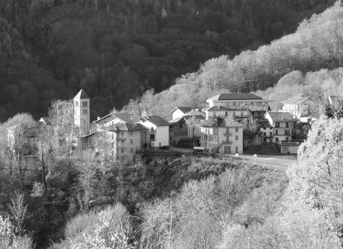 Immagine con case, alberi, bianconero, paese, campanile, paesaggio, montagna, nero, panorama, bianco